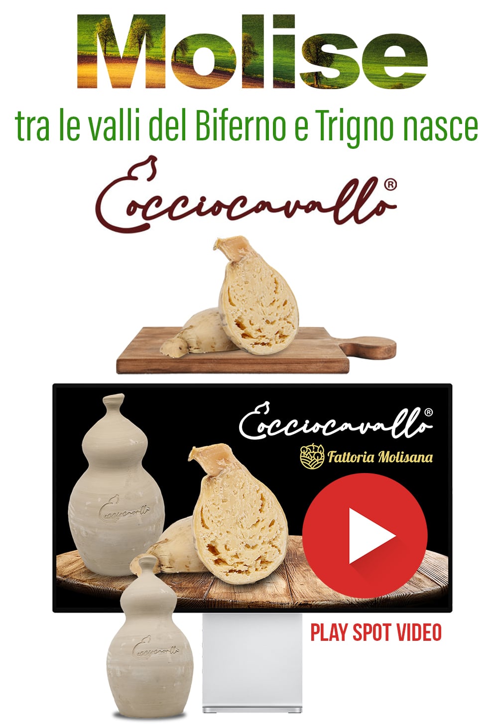 cocciocavallo_video_home2.jpg